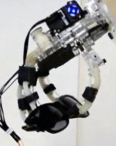 Grasping experiment 3